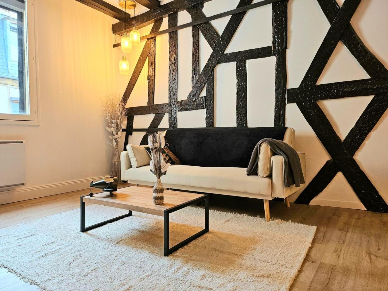 La Dame Blanche - Appartement Hypercentre Historique Bourges Zewnętrze zdjęcie